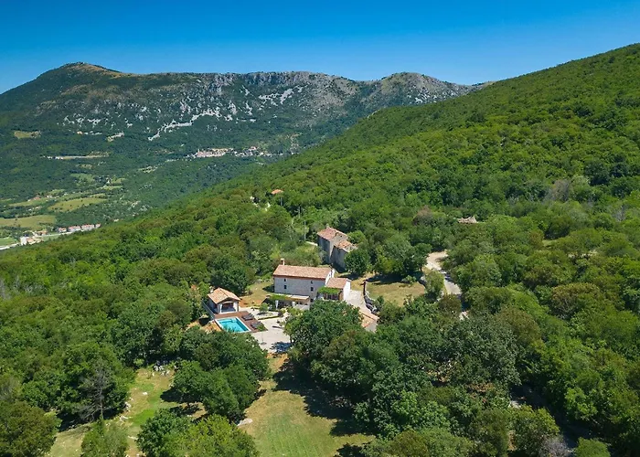 Veselici